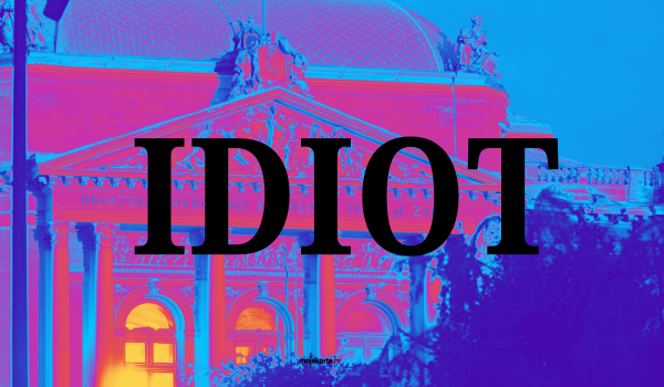  IDIOT